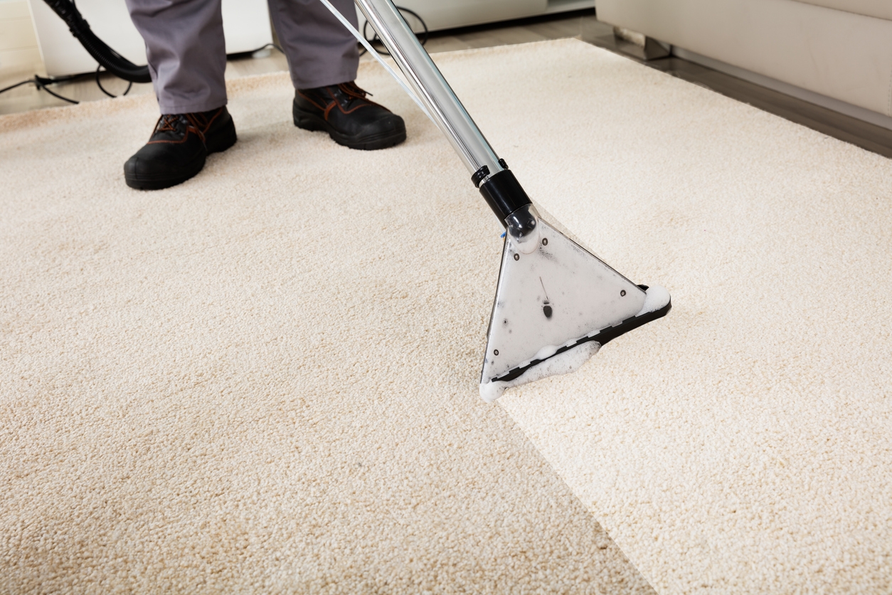 The Benefits of Cleaner Carpet! 