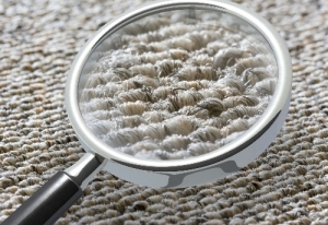 3 Health Benefits of Professional Carpet Cleaning