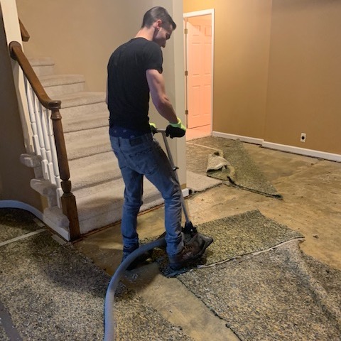 Emergency Carpet Water Damage: Cleaning & Restoration in Canton, MI | Plymouth Carpet Service - IMG_3436