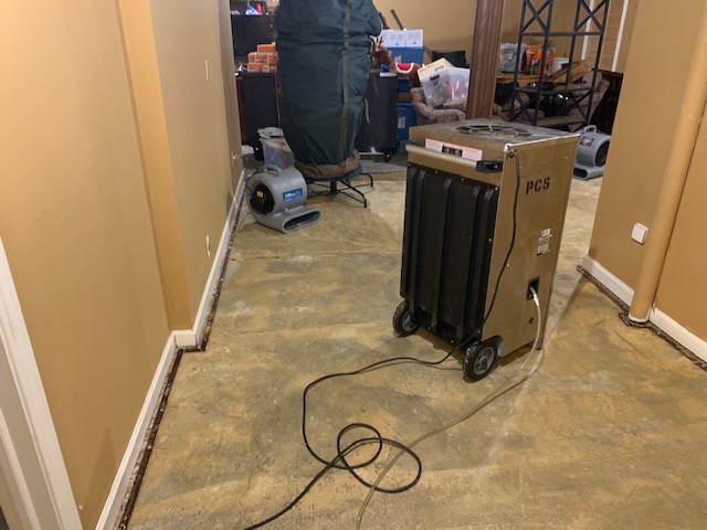 Emergency Carpet Water Damage: Cleaning & Restoration in Canton, MI | Plymouth Carpet Service - IMG_3443