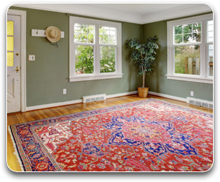 Area & Oriental Rug Cleaning & Stain Removal: Canton, MI | Plymouth Carpet Services - arearug1