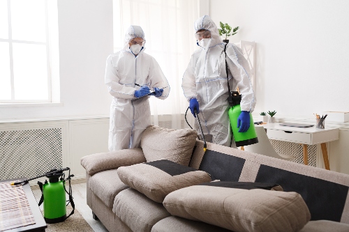 A crew of workers deeply cleans a residential rental property.