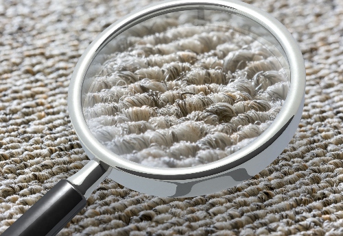 After professional carpet cleaning, your carpet will no longer be a health hazard.
