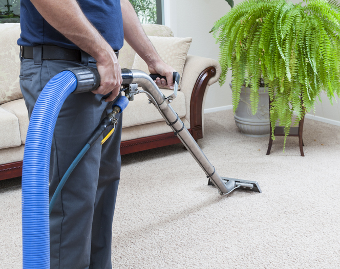 A carpeting cleaning professional thoroughly cleans a client's carpeting with expert-grade equipment.
