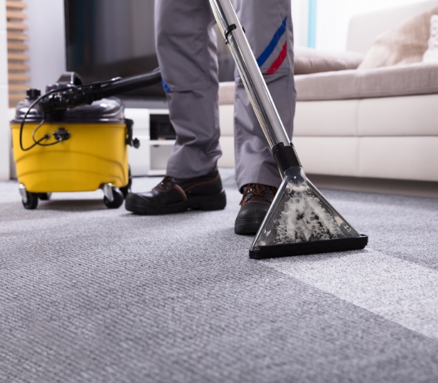 Residential Carpet Cleaning | Plymouth Carpet Services | Canton, Michigan - res1-1