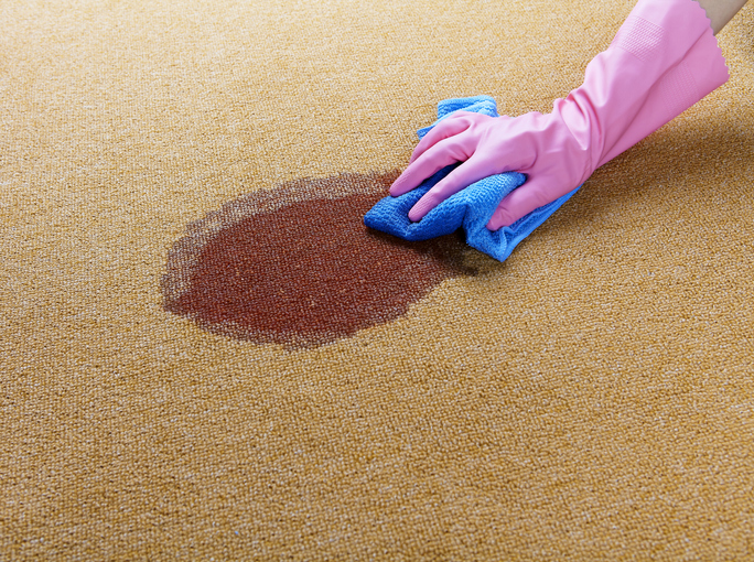 A homeowner cleans a spill on their carpeting to keep their home clean and fresh.