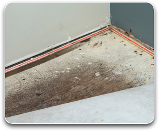 Emergency Carpet Water Damage: Cleaning & Restoration in Canton, MI | Plymouth Carpet Service - waterdamage1